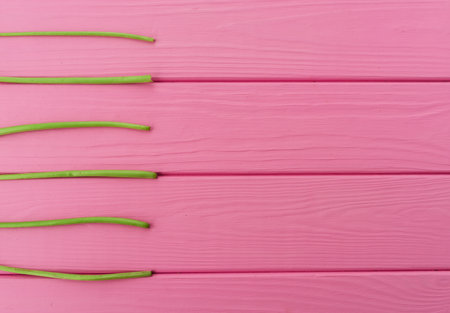 Summer abstract background mockup template free copy space for text pattern sample top view above on pink wooden board. blank empty area for inscription. lines stems stalks of dandelions lie parallelの写真素材