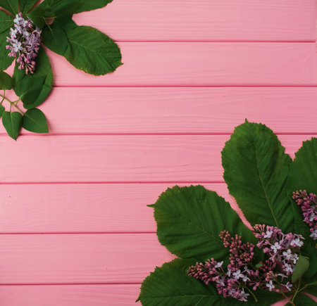 Summer abstract background mockup template free copy space for text pattern sample top view above on pink wooden board. blank empty area for inscription. in corners flowers borders frames lilac bloomの写真素材