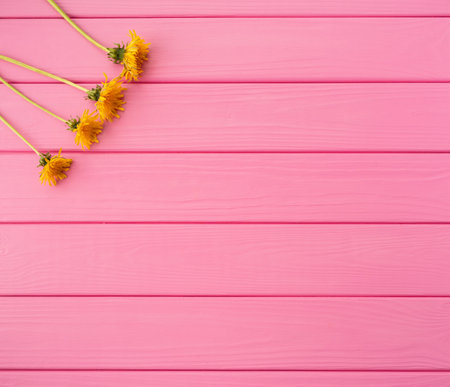 Summer abstract background mockup template free copy space text pattern sample top view above on pink wooden board. blank empty area for inscription. corners flowers borders frames yellow dandelionsの写真素材