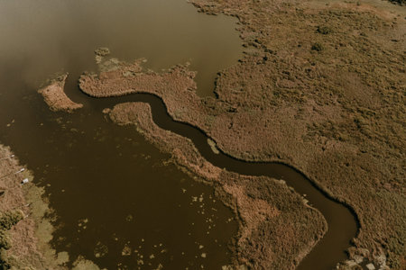 River structure into riverbed river Pivdennyi Buh seen from above. Drone aerial top down photo....