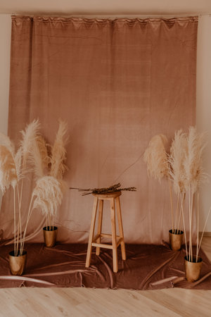 Scandinavian interior of photozone constant pink warm colors with fabric curtain. high bar wooden chair. on sides vases dry flowers tall long grass reeds flowering. boho style minimalism hippieの写真素材