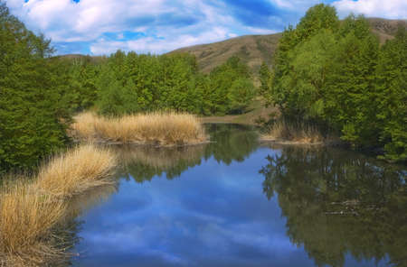 Landscape with a lake reflected the clouds, trees on the beach and mountains in the backgroundの写真素材