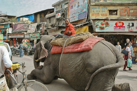 DELHI, INDIA - March 18. Mahout on crowded street Main Bazar in Delhi, sits on top of a recumbent elephant, offer to sit on the elephant, on march 18, 2011 in Delhi, India.のeditorial素材