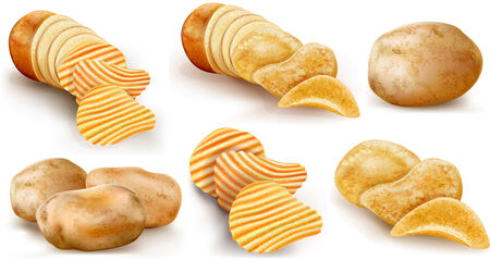 potatoes and potato chips and cut potato tubers on a white background. vector illustrationのイラスト素材