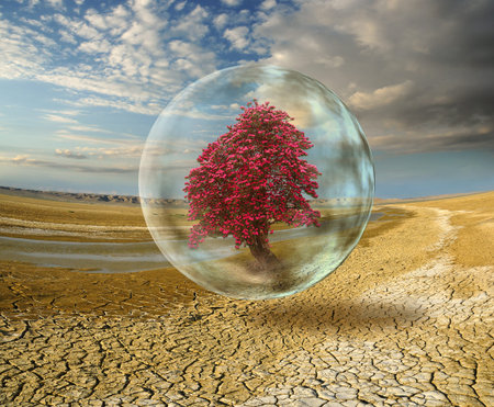 ecological problem. blooming tree inside protected sphere on desert background
