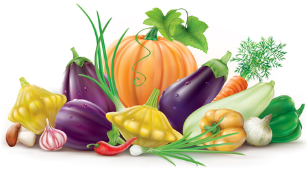 Group of different colorful vegetables on the white background. Vector illustrationのイラスト素材