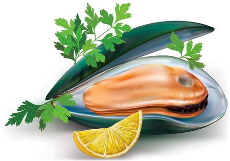 mussels on a open shells with lemon and parsleyのイラスト素材