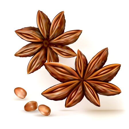 Anise star, badiane spice on white background. Vector illustrationのイラスト素材