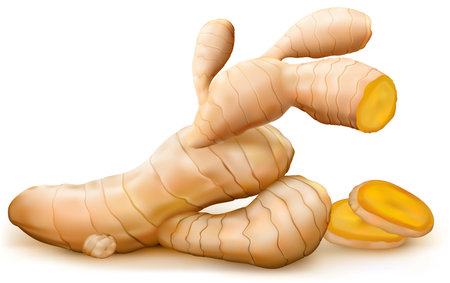 Ginger root and cut root on white background