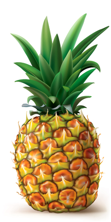 Pineapple on a white. Vector illustrationのイラスト素材