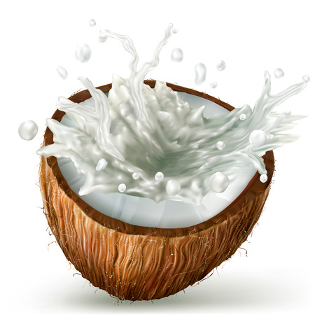 cracked half coconut with milk splashのイラスト素材