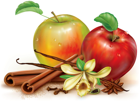 Apples and fragrant spices cinnamon vanilla anise cardamon. Vector illustrationのイラスト素材