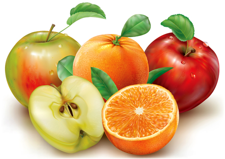 Whole and cut apple and orange fruits on a white background. Realistic vector illustrationのイラスト素材