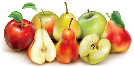 Apples and pears of red and orange on a white background. Realistic vector illustrationのイラスト素材