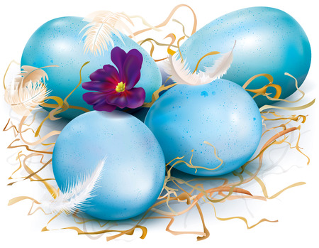 Three blue eggs are decorated with feathers and dry grass. Vector illustration.のイラスト素材