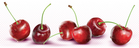 Cherries are placed in a line on transparent background. Vector illustrationのイラスト素材