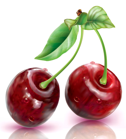Two Cherry on a white background. Vector illustrationのイラスト素材