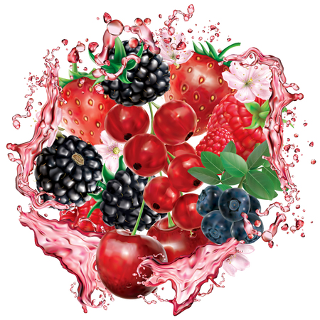 Berries mix into of burst splashes of juices. Strawberry, raspberry, cherry, blackberry, blueberry, red currant. Vector mesh illustrationのイラスト素材