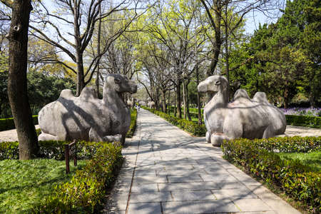 Shinto and stone statues of Ming Xiaoling Tomb in Nanjingの写真素材