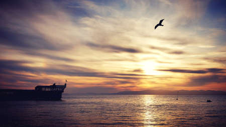 Vladivostok Vladivostok sunsetの写真素材