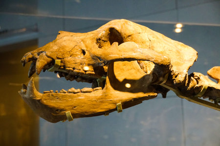 Peking Man Site Museum, Zhoukoudian, Fangshan District, Beijing, China