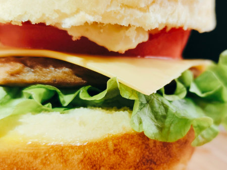 Food Photography Hamburgerの写真素材