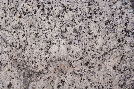 Stone Surface Textureの写真素材