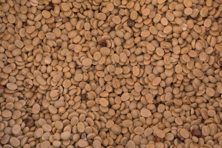 Close Up Thai Roasted Coffee Beans can be use as Texture or Backgroundの写真素材