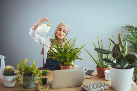 Beautiful muslim woman in hijab working at home with laptop and houseplantsの写真素材