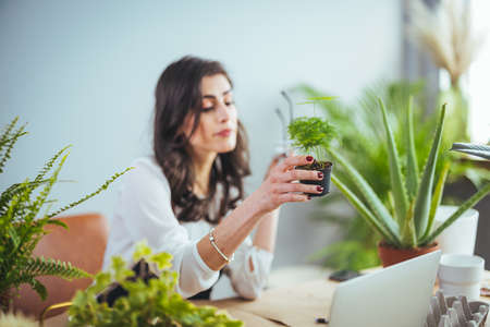 Beautiful young woman working at home with plants. Home office concept.の写真素材