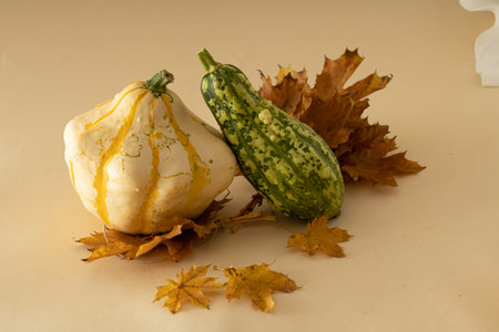 On a beige background, yellow leaves with green and beige-yellow pumpkin.