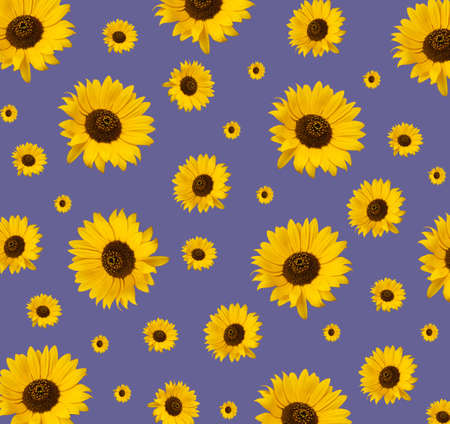 Pattern of sunflower flowers of various sizes. Creative beautiful idea with yellow flowers.の写真素材