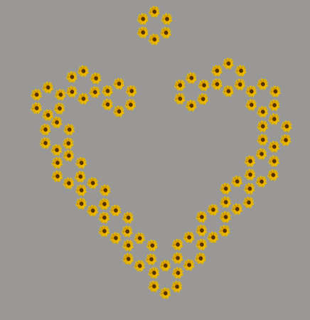 Heart-shaped yellow sunflower flowers for Valentine's Day. On a gray background.の写真素材