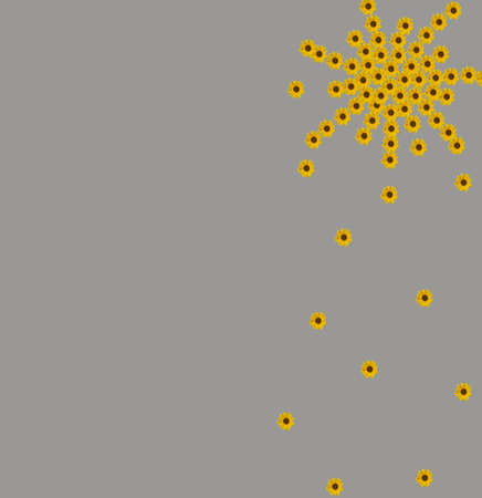 Yellow sunflower flowers for Valentine's Day in the shape of a star. On a gray background.の写真素材