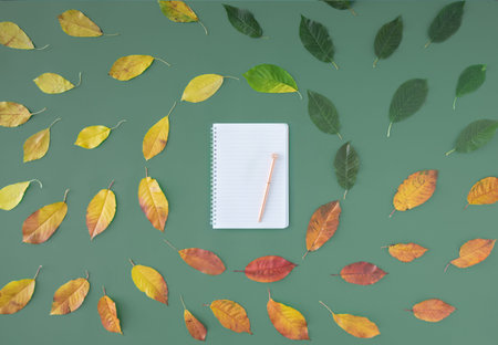 Red, green and yellow leaves forming a circle like movement of life or a cycle of year concept on...