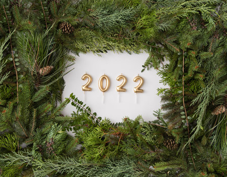 Homemade white copyspace and conifer brunches and cones in corners beautifuly arranged flat lay do...