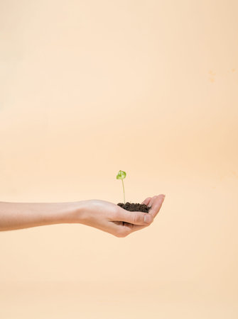 Hand holding tiny green plant growing from piece of soil with amber yellow background