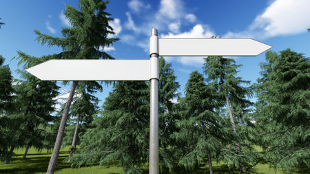 Way choice showing strategy, 3D rendering