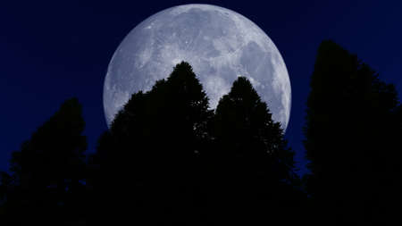 Forest at Night with Big Full Moonの写真素材