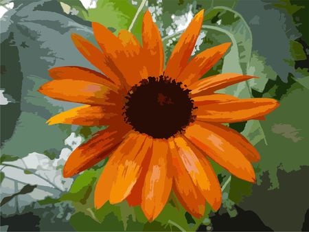 Vector sunflowerのイラスト素材