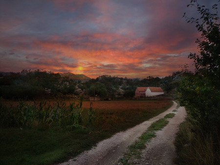 Beautiful evening in the mountain, road to homeの写真素材