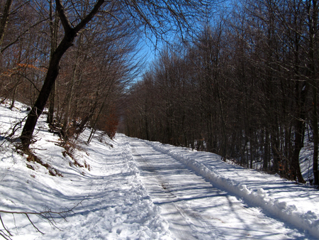 Road in the mountain covered with snow, winter panorama.の写真素材