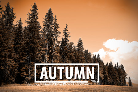 Detail from a mountain top. Forest, field and beautiful sky in the background.の写真素材