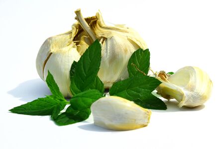 Close up of garlic bulb and cloves with mint kleafs. Concept for cooking, health publications.の写真素材