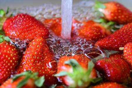 Washing strawberries in the kitchen sink under a flow of fresh water.の写真素材