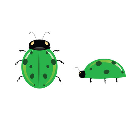 green ladybug illustration art vector on white backgroundのイラスト素材