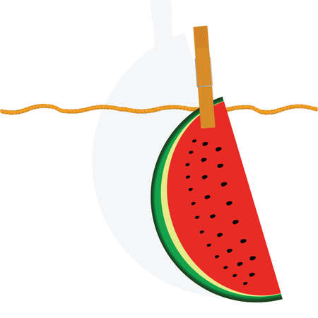 watermelon hanging on a rope art illustrationのイラスト素材