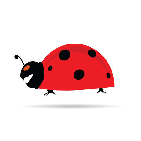 crazy ladybug vector illustration with tetth on whiteのイラスト素材
