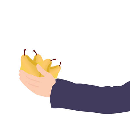pear in hand colored illustrationのイラスト素材