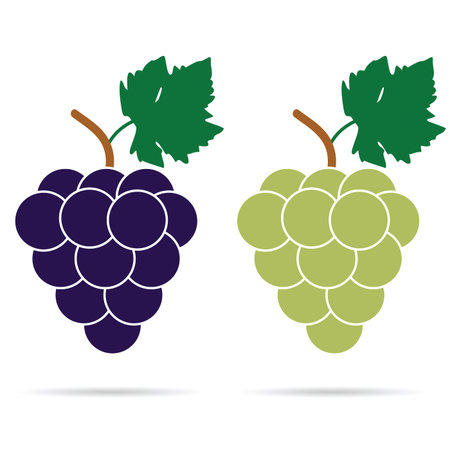 grape colored art illustrationのイラスト素材